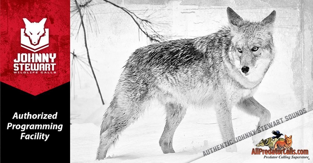 Authorized Programming Facility for Johnny Stewart Game Calls Authorized Programming Facility for Johnny Stewart Game Calls