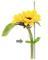 Ultimate Plant Clips