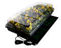 Hydrofarm Germination Station