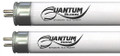 Quantum Badboy T5 Bulbs