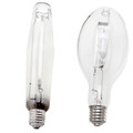 C.A.P. MaxLume H.I.D. Bulbs 