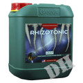 Canna Rhizotonic