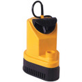 Utility & Sump Pump