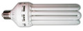 HydroFarm Compact Fluorescent Bulbs