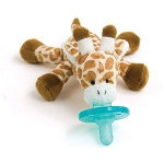 Baby Giraffe