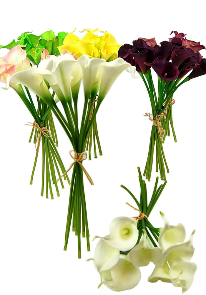 Calla lily coupons