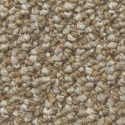 Countryside Indoor Outdoor Carpet