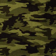 Call Of The Wild Camouflage 54508 - Shaw Philadelphia Commercial Carpet