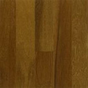 Performance Plus Hickory Armstrong Hardwood Flooring 3/8" x 5"