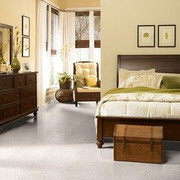 Guess Work (s) - 52T99 Shaw ANSO Nylon Carpet