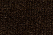 Expedition Indoor Outdoor Carpet
