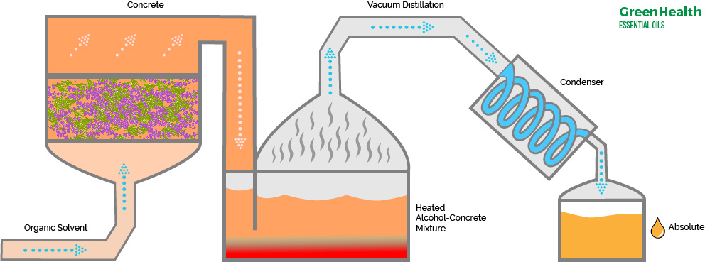 what-is-solvent-extraction-wehelpcheapessaydownload-web-fc2