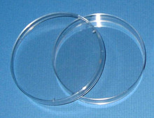 Petri Dishes
