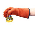 Autoclave Gloves
