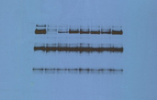 Autoradiography Film