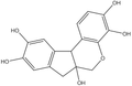 Hematoxylin