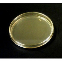 E coli Plates