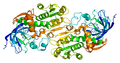 Alcohol Dehydrogenase - image by wiki user Emw