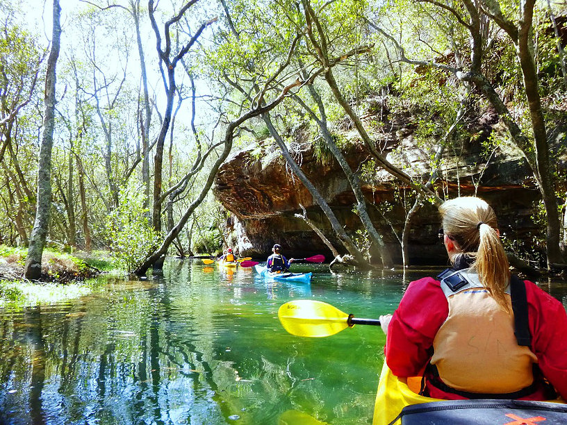 eco-tour-image-from-shk-tours-webpage.jpg eco-tour-image-from-shk-tours-webpage.jpg