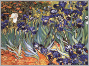Irises in the Garden, Saint-Remy, II c.1889 - Vincent Van Gogh