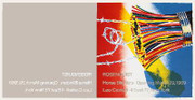 Awesome Rosenquist Horse Blinders