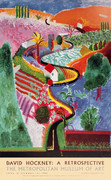 Beautiful David Hockney Nichols Canyon
