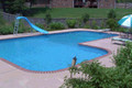 True L In Ground Swimming Pool