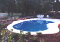 Kidney In Ground Swimming Pool