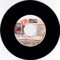 Dennis Brown, Luciano, Hopeton Lindo...Your World My World 7"