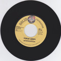 Pam Hall : Fool 7"