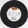 Screwdriver : What A Joy 7"