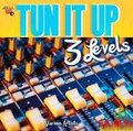 Tun It Up 3 Levels...Various Artist CD
