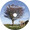 HERE AT LAST by THE PATIENCE FAMILY CD