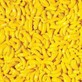 Bananarama Candy Coated Banana Shaped Candy  1 lb