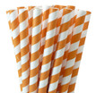 Greenmunch Jumbo Paper Straws