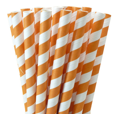 Greenmunch Jumbo Paper Straws