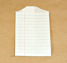 Little Notebook Bags