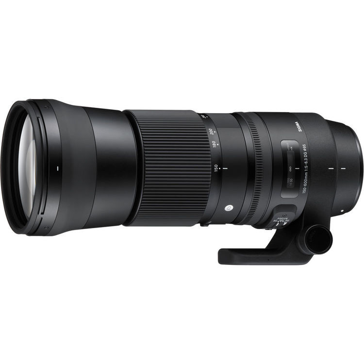 sigma 150 600mm sport canon fit