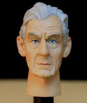 1/6 Action Figure Head Play Head Sculpt-Ian McKellen, Magneto from X-Men
