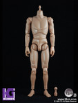 Toys City TTL 1/6 Scale 12" Caucasian Male Nude figure Body T3.0 Brown skin tone