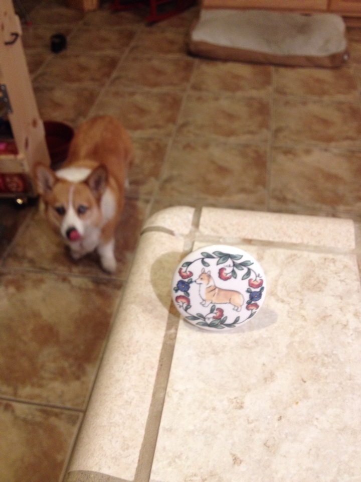Corgi with Corgi wine stopper from http://www.shepherds-grove.com corgi-with-corgi-wine-stopper.jpg