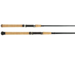 Shimano Teramar Southeast Spinning