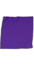 Plain Veil