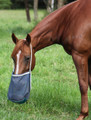 Nosebag