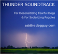 Ask the Dog Guy Thunder Soundtrack for Preparing Puppies for Thunderstorms and Desensitizing Fearful Dogs