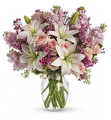 Blossoming Romance