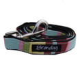 "Captain Pooch" Fantasy Dog Leash (Rainbow)