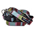 "Captain Pooch" Fantasy Dog Collar + Leash Set (Rainbow)