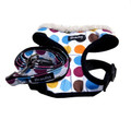 "Retro Pooch" Circles Dog Harness + Leash Set (Rainbow)