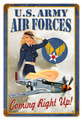 Air Force Pin Up